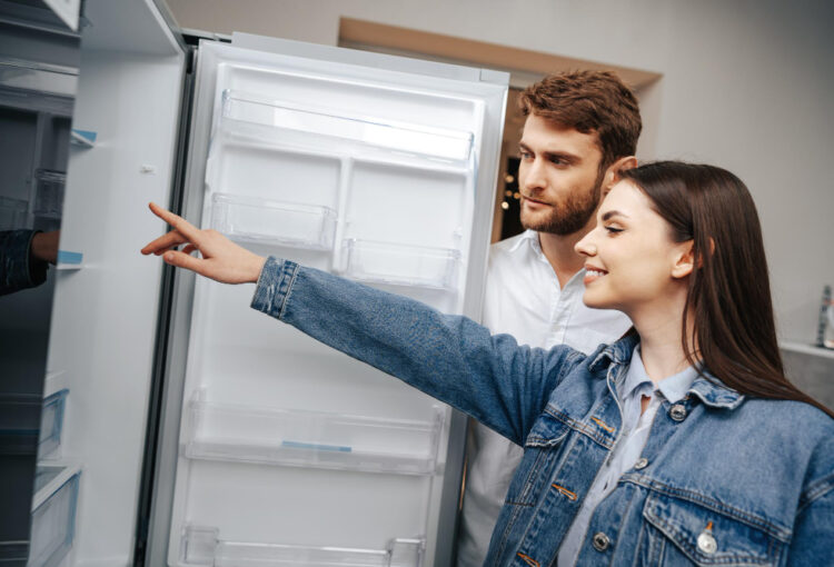 Модели холодильников Arçelik 